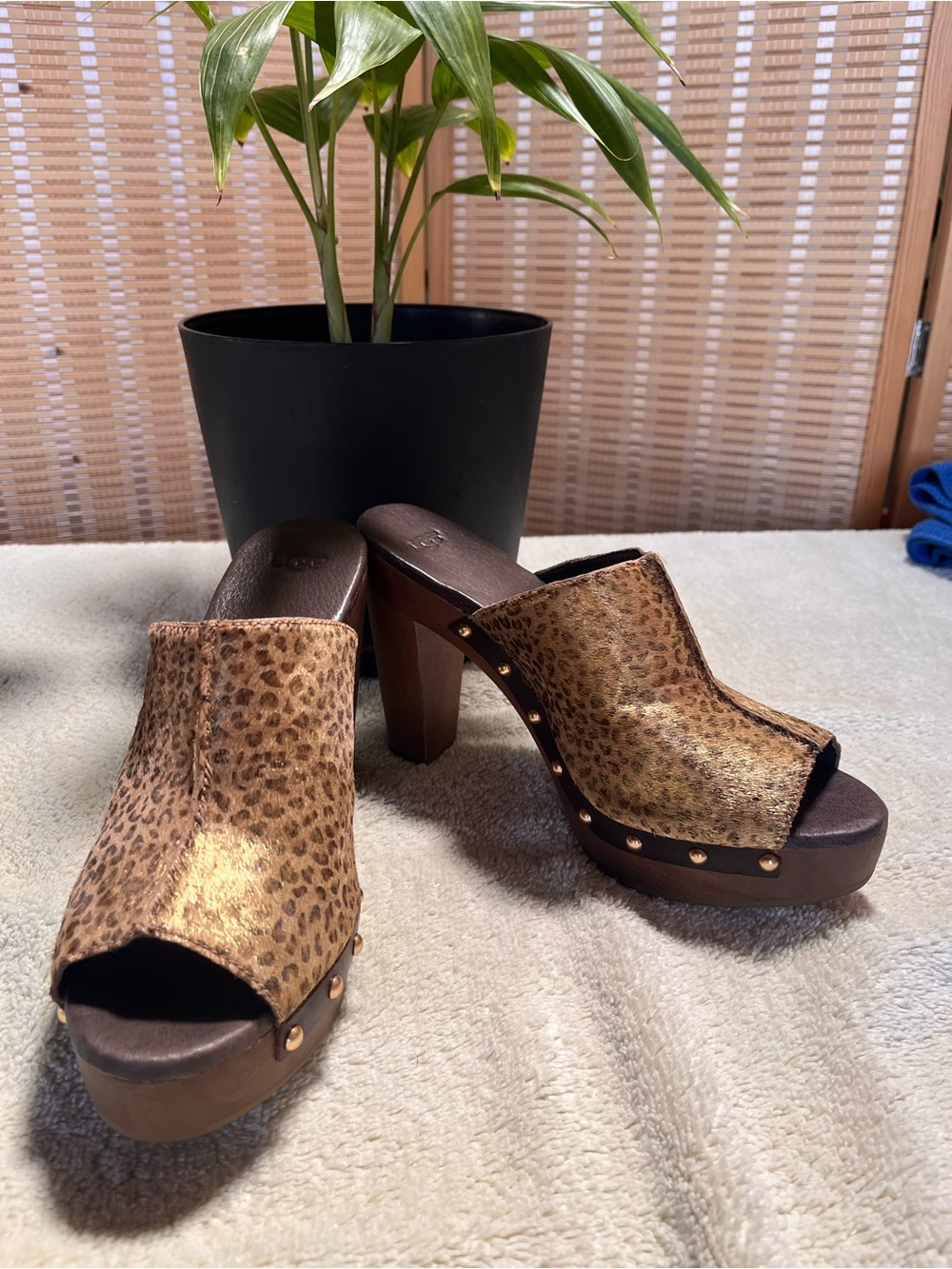 Leopard Print Platform Mule Heels - Women
